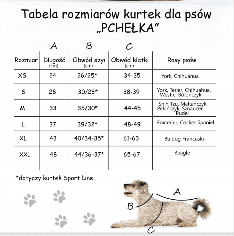 Ubranko dla psa PCHEŁKA-BLUZA T-REX POPIEL roz. XXL