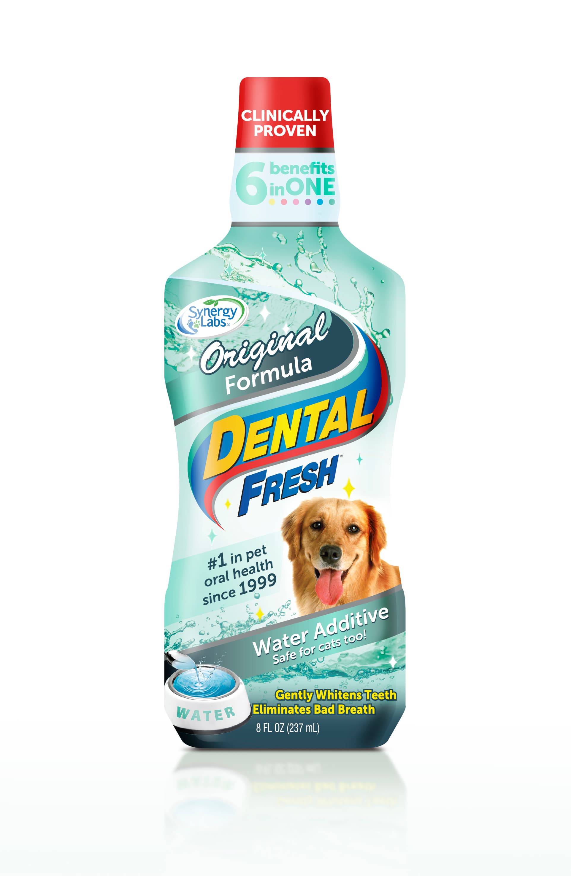 Dental Fresh 